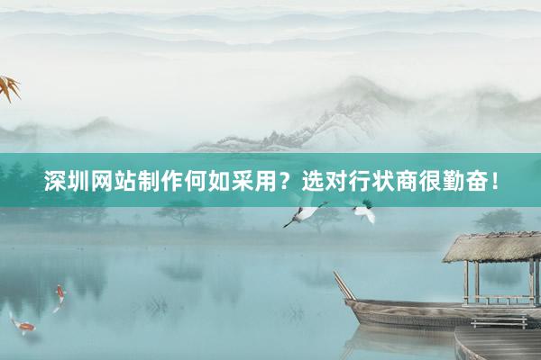 深圳网站制作何如采用?选对行状商很勤奋!