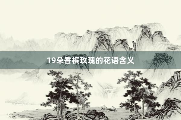 19朵香槟玫瑰的花语含义