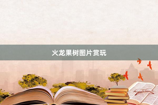 火龙果树图片赏玩