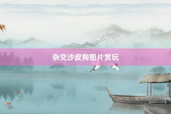 杂交沙皮狗图片赏玩