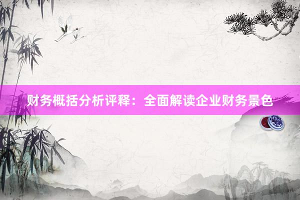 财务概括分析评释：全面解读企业财务景色